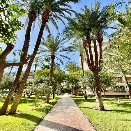 דירה Palm Valley *