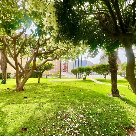 דירה Palm Valley *