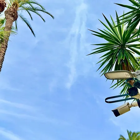 Palm Valley * טורבייחה