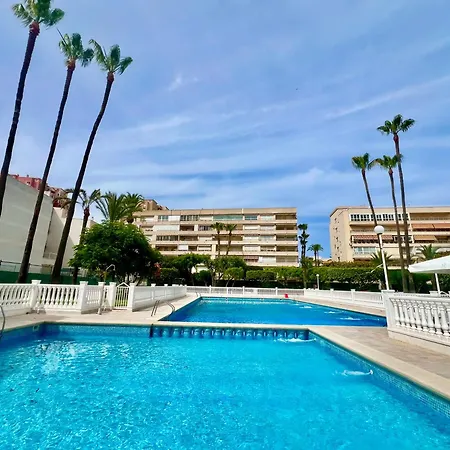 Palm Valley 또레비에하