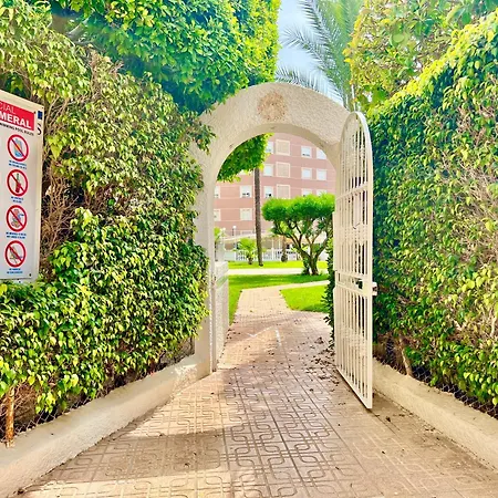 아파트 Palm Valley 또레비에하