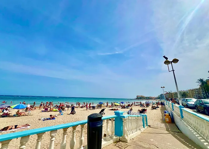 Palm Valley تورّيفيِخا