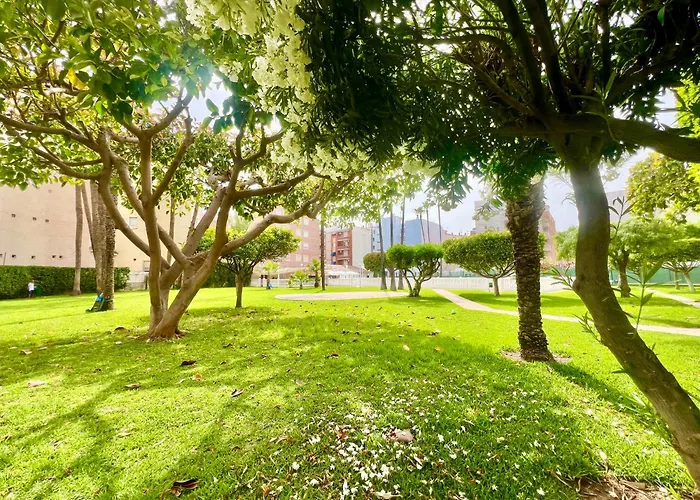 شقة Palm Valley *