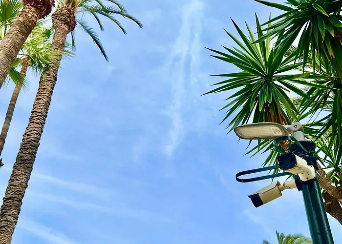 Palm Valley * تورّيفيِخا