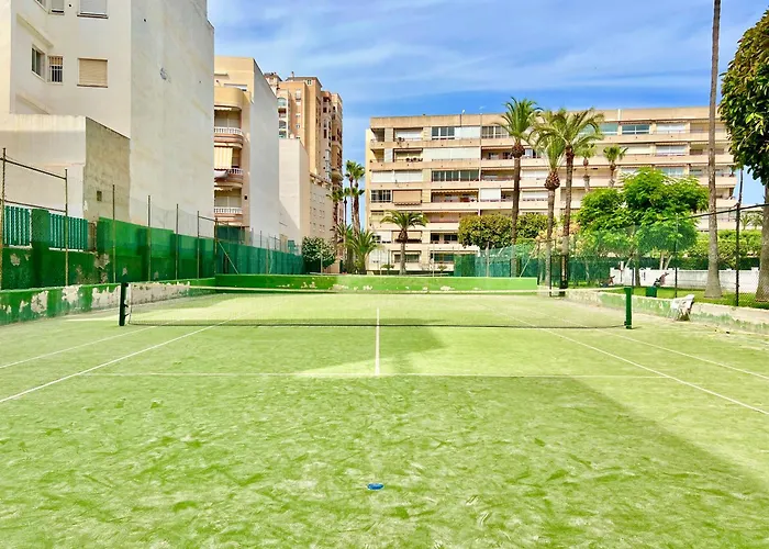 Palm Valley تورّيفيِخا